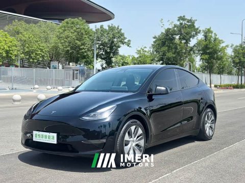 2021 Tesla Model Y Standard Range RWD - ავტომობილი ჩინეთიდან