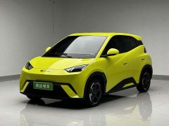 BYD Seagull 2023 Vitality Edition - ფოტო 1