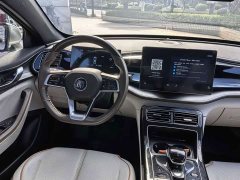 BYD Qin Plus Champion Edition DM-i 120KM Exceed - ფოტო 11