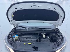 GAC Aion M6 2021 PRO 270T DCT Luxury - ფოტო 16