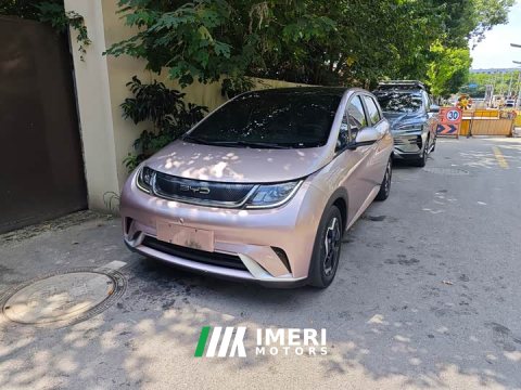2021 BYD Dolphin 405km Fashion Edition - ავტომობილი ჩინეთიდან