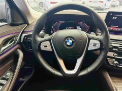 BMW 5 Series Facelift 530Li Luxury Edition Premium Package - ფოტო 16