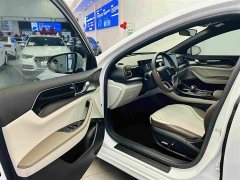 BYD Qin PLUS 2023 Champion Edition EV 510KM Excellence - ფოტო 20