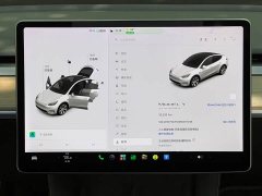 Tesla Model Y Standard Range RWD - ფოტო 14