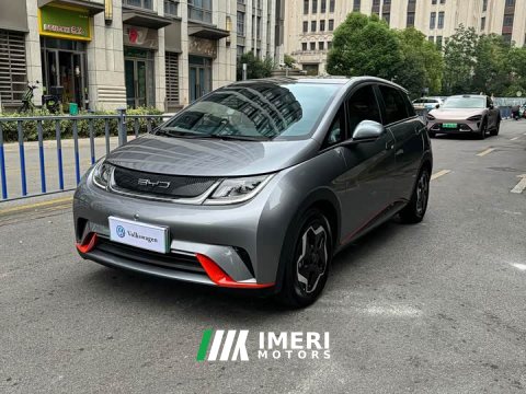 2022 BYD Dolphin 405km Freedom Edition - ავტომობილი ჩინეთიდან