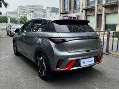 BYD Dolphin 405km Freedom Edition - ფოტო 14