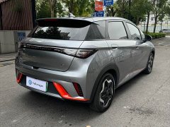 BYD Dolphin 405km Freedom Edition - ფოტო 16