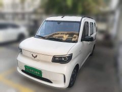 Wuling Zhiguang New Energy 305km Aspiring Edition - ფოტო 1