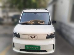 Wuling Zhiguang New Energy 305km Aspiring Edition - ფოტო 2