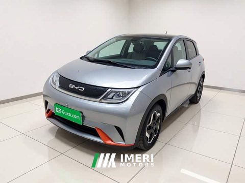 2023 BYD Dolphin 405km Fashion Edition - ავტომობილი ჩინეთიდან