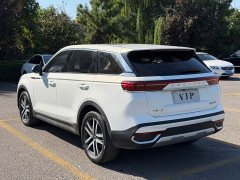 FAW Besturn T99 2.0T Automatic Deluxe Edition (6AT) - ფოტო 4