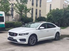 Geely Xingrui 2.0T Diesel Elite - ფოტო 1