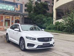 Geely Xingrui 2.0T Diesel Elite - ფოტო 3