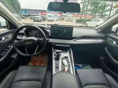 Geely Xingrui 2.0T Diesel Elite - ფოტო 5
