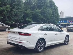 Geely Xingrui 2.0T Diesel Elite - ფოტო 9