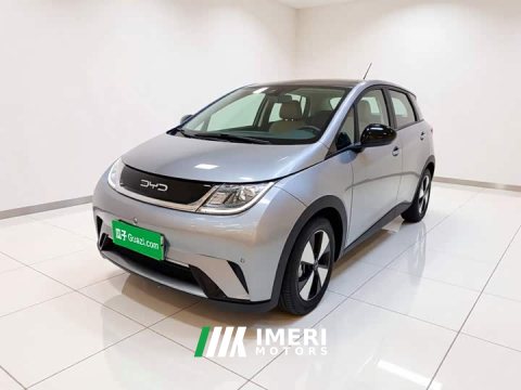 2023 BYD Dolphin 420km Fashion Edition - ავტომობილი ჩინეთიდან
