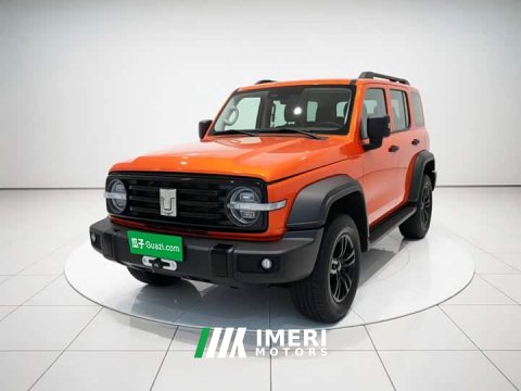 2022 Tank 300 2021 Off-Road Edition 2.0T Conqueror - ავტომობილი ჩინეთიდან