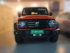 Tank 300 2021 Off-Road Edition 2.0T Conqueror - ფოტო 2