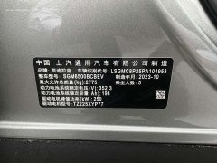 Cadillac IQ Ruige 2024 Rear-Wheel Drive Standard Range Luxury Edition - ფოტო 8