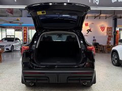 Jetour Jietu Dasheng 2023 1.5T DCT Starlight PRO - ფოტო 6