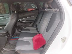 Geely Boyue 1.5TD Longteng Edition - ფოტო 13