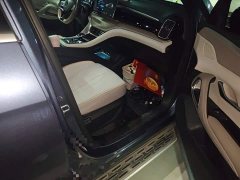 BYD Song Pro New Energy Champion Edition DM-i 110KM Excellence - ფოტო 19
