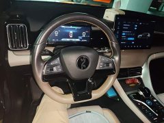 BYD Song Pro New Energy Champion Edition DM-i 110KM Excellence - ფოტო 6
