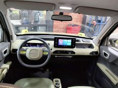 Geely Panda 2024 200km Panda Knight - ფოტო 11