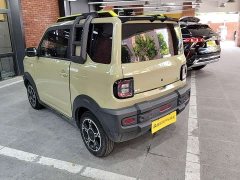 Geely Panda 2024 200km Panda Knight - ფოტო 3