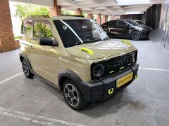 Geely Panda 2024 200km Panda Knight - ფოტო 6