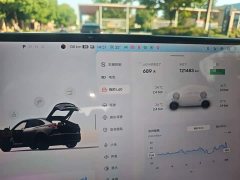 Nio Lerado L60 60kWh Rear-Wheel Drive - ფოტო 8
