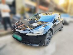 Tesla Model 3 Rear-Wheel Drive - ფოტო 1