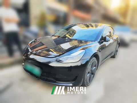 2022 Tesla Model 3 Rear-Wheel Drive - ავტომობილი ჩინეთიდან