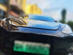 Tesla Model 3 Rear-Wheel Drive - ფოტო 2