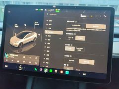 Tesla Model 3 Rear-Wheel Drive - ფოტო 20
