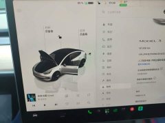 Tesla Model 3 Rear-Wheel Drive - ფოტო 9