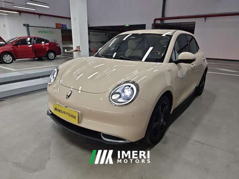 2024 ORA Good Cat 501km Deluxe Edition - ავტომობილი ჩინეთიდან