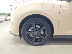 ORA Good Cat 501km Deluxe Edition - ფოტო 14