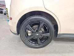 ORA Good Cat 501km Deluxe Edition - ფოტო 17