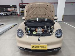 ORA Good Cat 501km Deluxe Edition - ფოტო 18