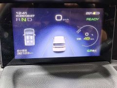Wuling Hongguang MINIEV Macaron Fashion Edition LFP Battery - ფოტო 13
