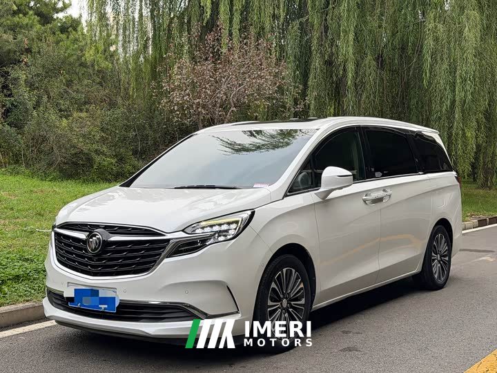 Buick GL8 ES Land Respect 653T Luxury - ავტომობილი ჩინეთიდან