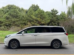 Buick GL8 ES Land Respect 653T Luxury - ფოტო 3