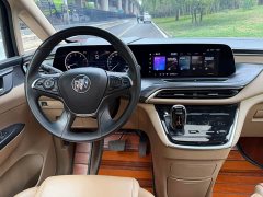 Buick GL8 ES Land Respect 653T Luxury - ფოტო 9