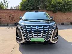 Denza BYD Denza D9 DM-i Smart Drive 1020 Four-Wheel Drive Premium - ფოტო 2