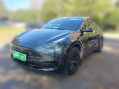 Tesla Model Y Rear-Wheel Drive - ფოტო 1
