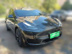 Tesla Model Y Rear-Wheel Drive - ფოტო 3