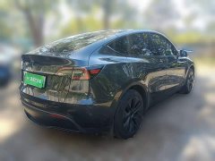 Tesla Model Y Rear-Wheel Drive - ფოტო 6