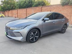 BYD Destroyer 05 Champion Edition DM-i 120KM Luxury - ფოტო 1