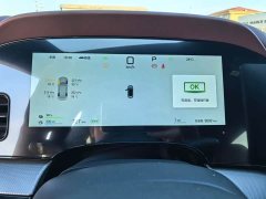 BYD Dolphin 07 DM-i 2026 DM-i 1.5T 230km Flagship - ფოტო 10